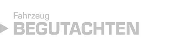 begutachten